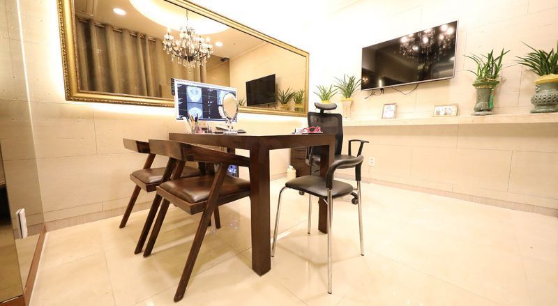 VG Plastic Surgery -