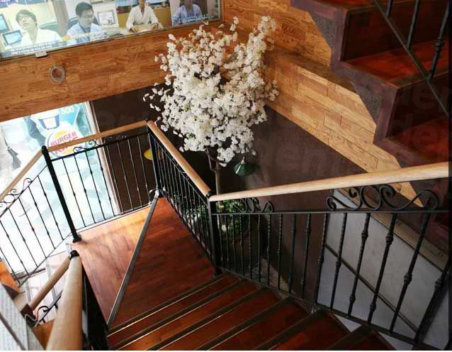 Romian Plastic Surgery - Stairs