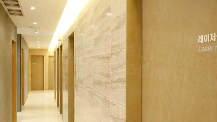 Braun Dermatology - Whole way