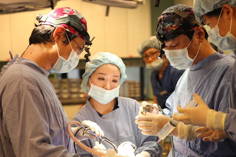 Wannabe plastic surgery - Staff.