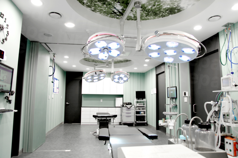 Wannabe plastic surgery - Surgery room